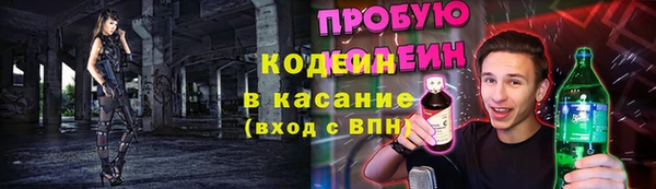 ПСИЛОЦИБИНОВЫЕ ГРИБЫ Богданович