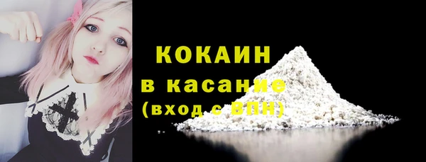 ПСИЛОЦИБИНОВЫЕ ГРИБЫ Богданович