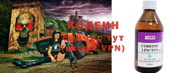 ПСИЛОЦИБИНОВЫЕ ГРИБЫ Богданович