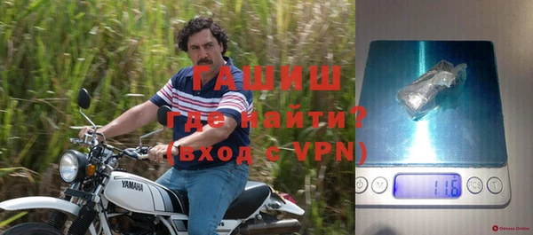 ПСИЛОЦИБИНОВЫЕ ГРИБЫ Богданович