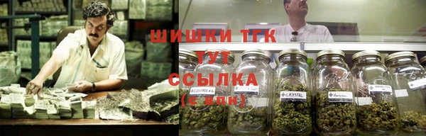ПСИЛОЦИБИНОВЫЕ ГРИБЫ Богданович
